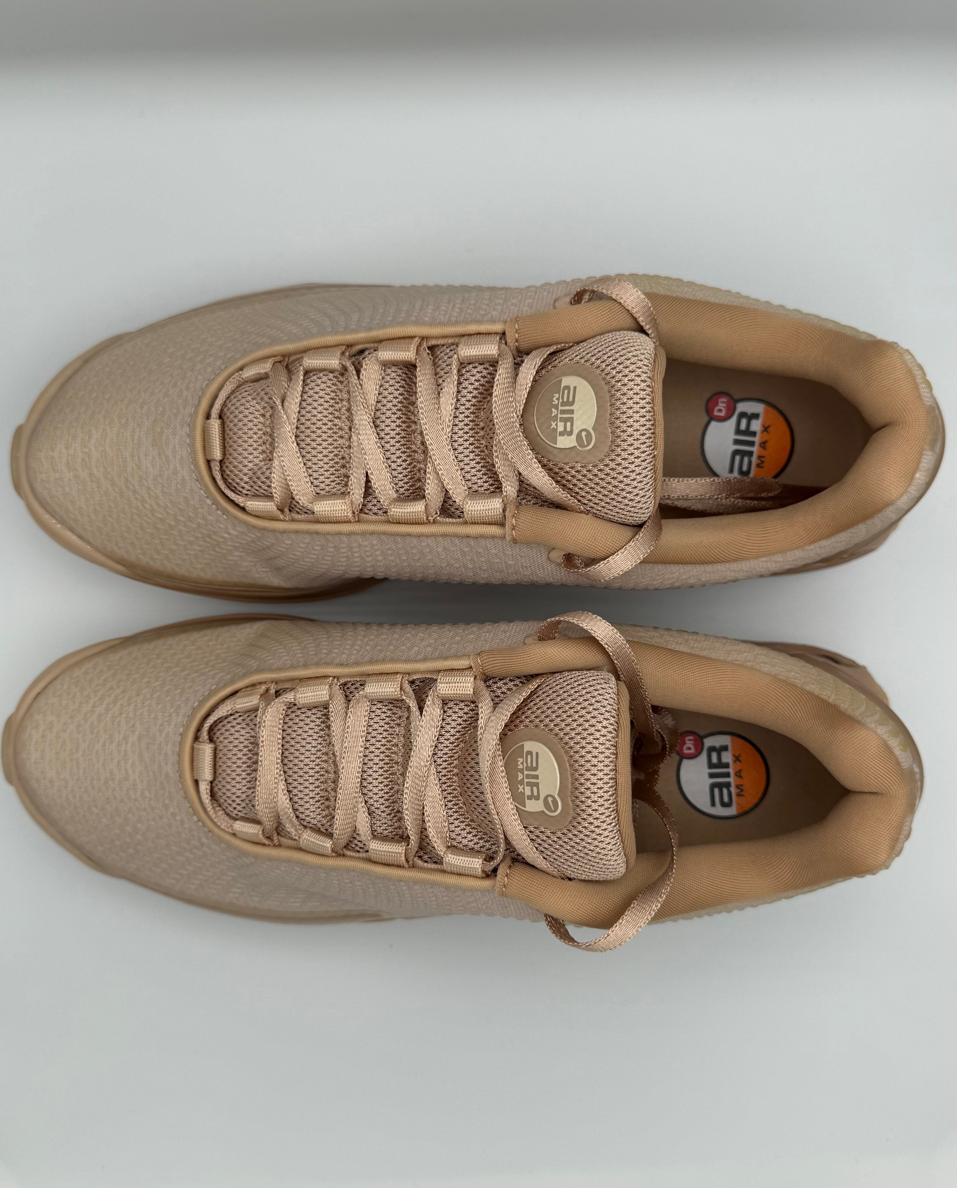 Nike W Air Max DN ISA