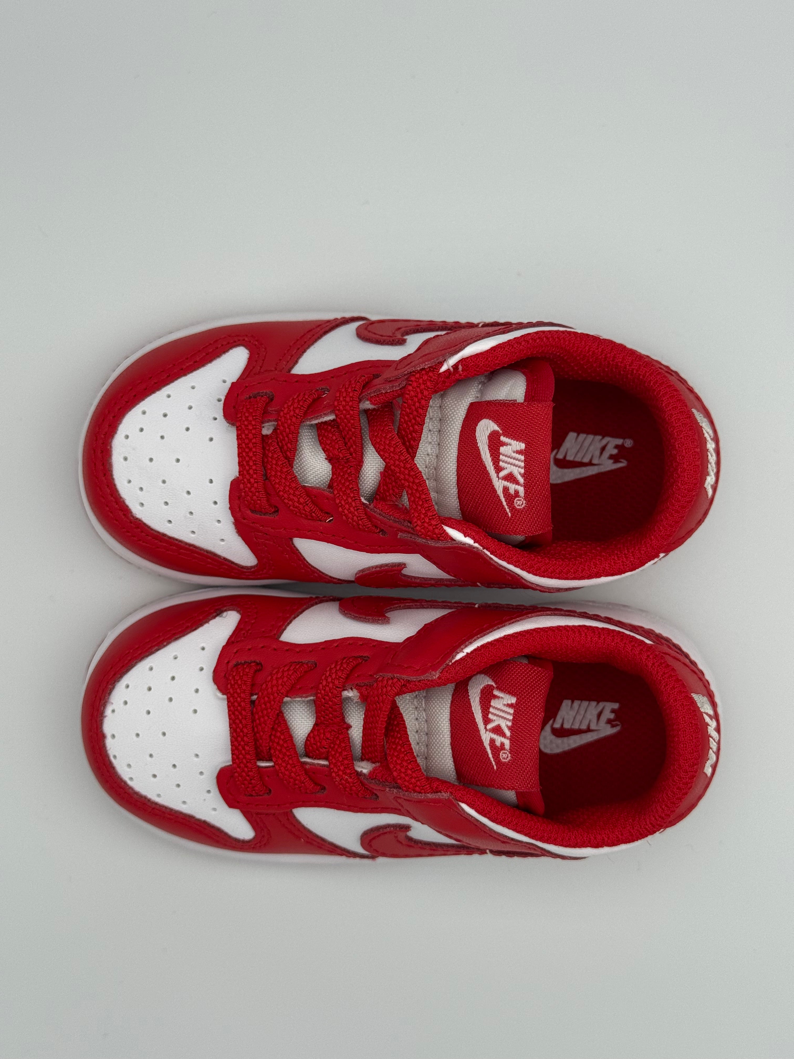 Nike Dunk Low (TDE)