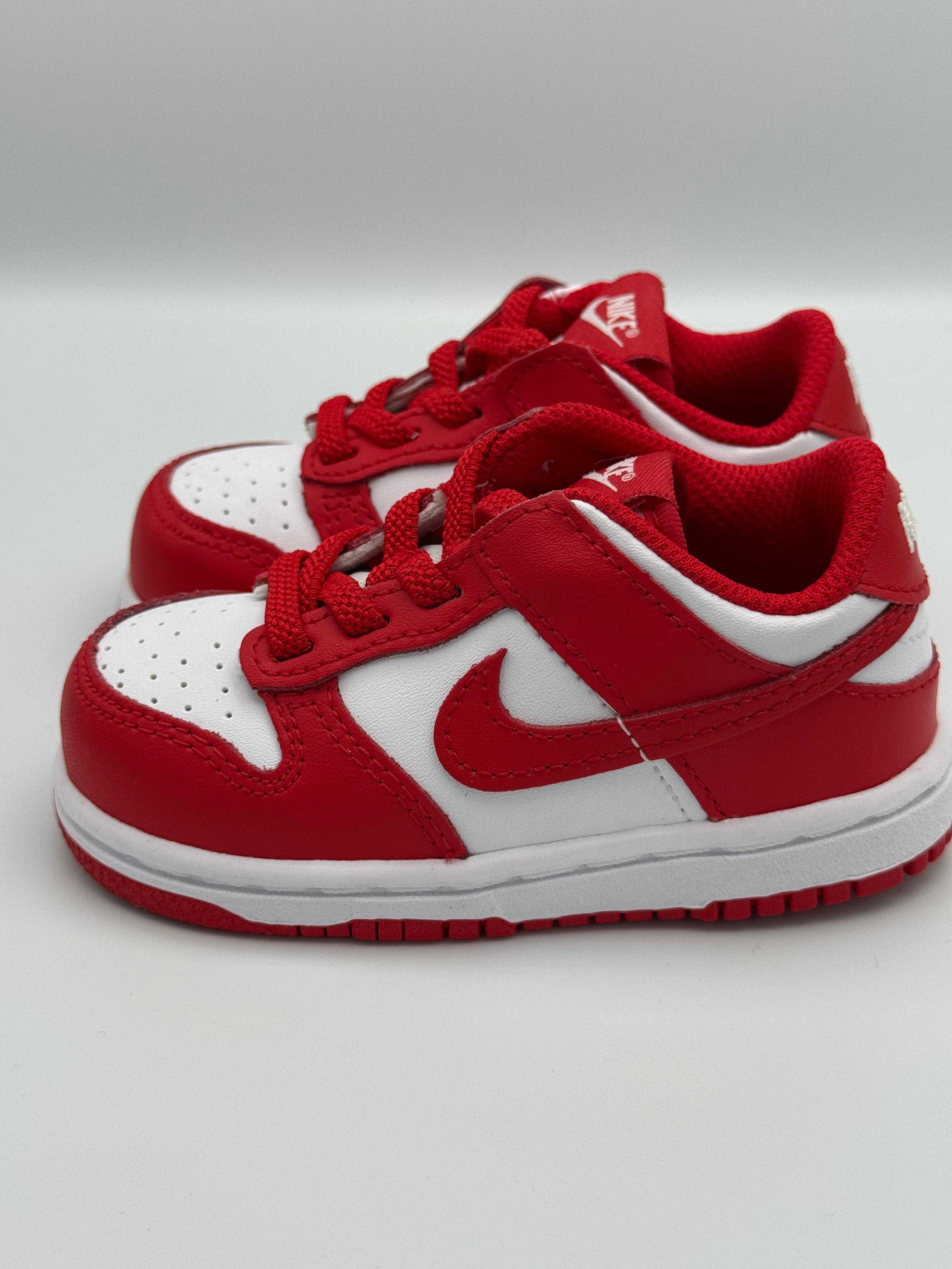 Nike Dunk Low (TDE)